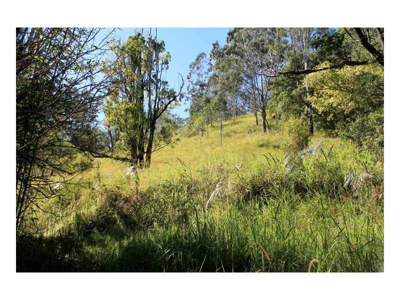 1264 Lynches Creek Road, Lynches Creek, Kyogle NSW 2474