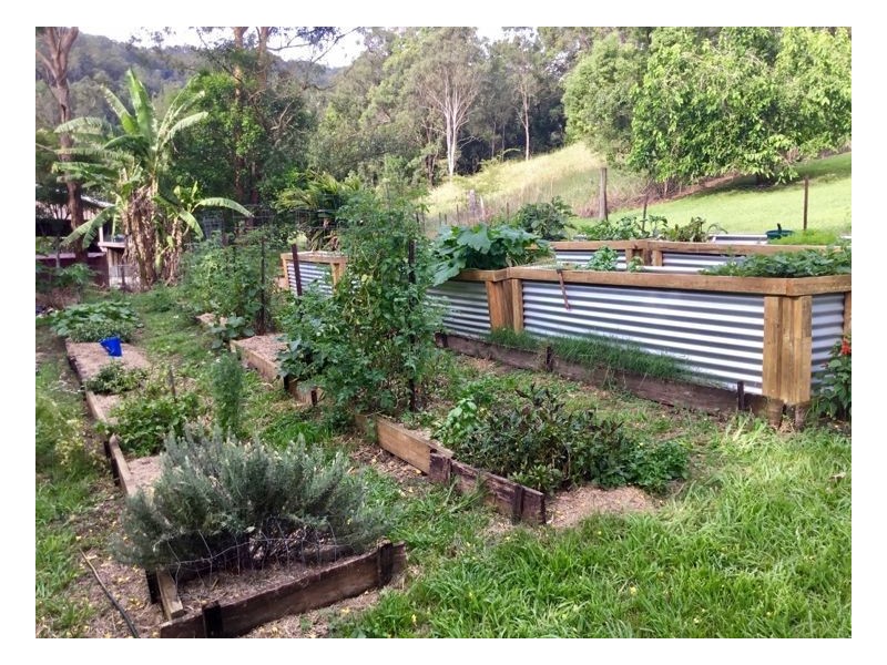 1264 Lynches Creek Road, Lynches Creek, Kyogle NSW 2474