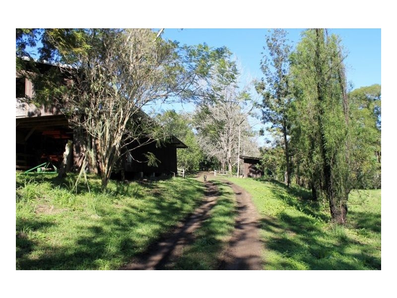 1264 Lynches Creek Road, Lynches Creek, Kyogle NSW 2474