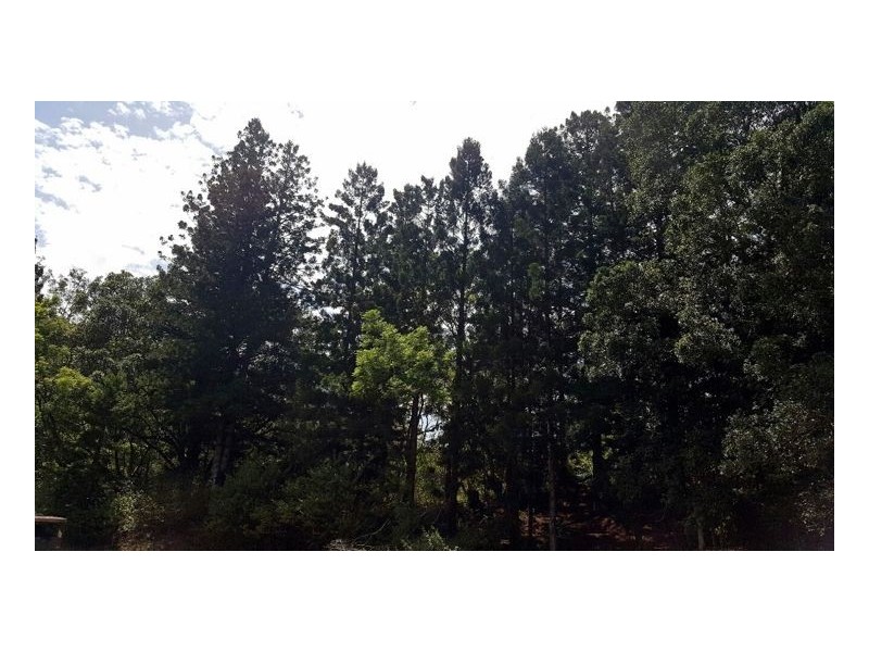 1035 Eden Creek Road – Upper Eden Creek, Kyogle NSW 2474