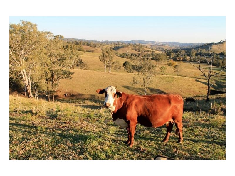 40 Wyndham Road – Wyneden via Kyogle, Kyogle NSW 2474
