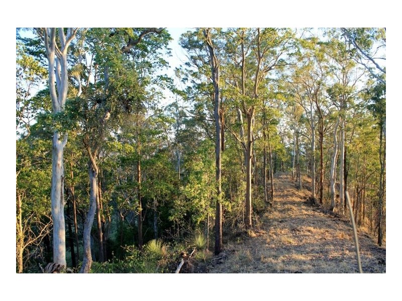 40 Wyndham Road – Wyneden via Kyogle, Kyogle NSW 2474