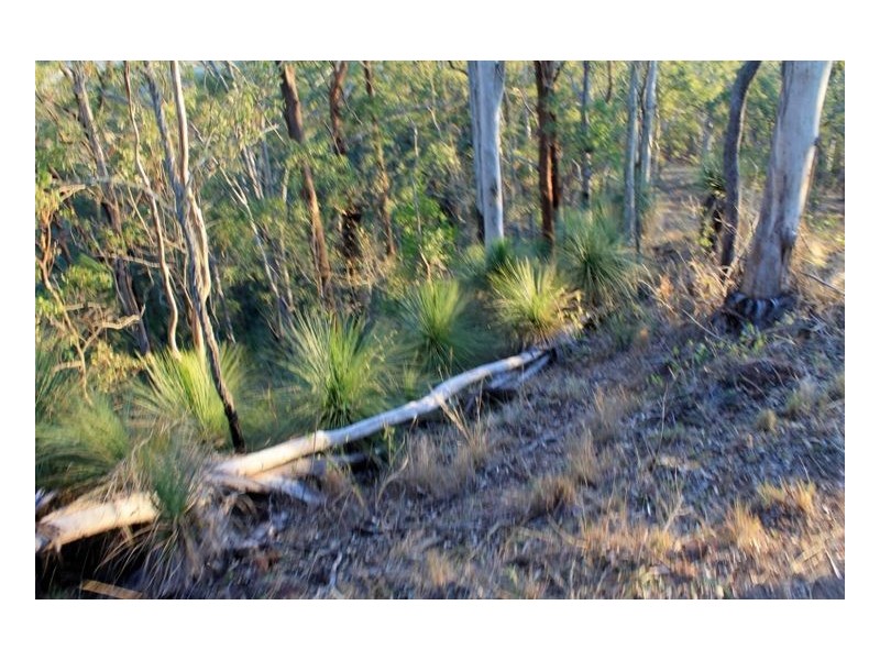 40 Wyndham Road – Wyneden via Kyogle, Kyogle NSW 2474