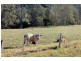 40 Wyndham Road – Wyneden via Kyogle, Kyogle NSW 2474