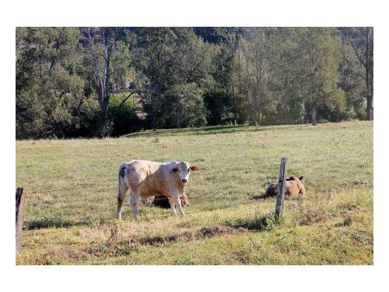 40 Wyndham Road – Wyneden via Kyogle, Kyogle NSW 2474