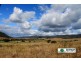 Lots 5 & 89 Summerland Way – Old Grevillia, Kyogle NSW 2474
