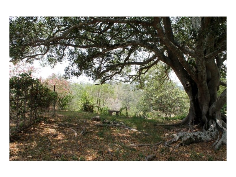 146 Omagh Road, Kyogle NSW 2474