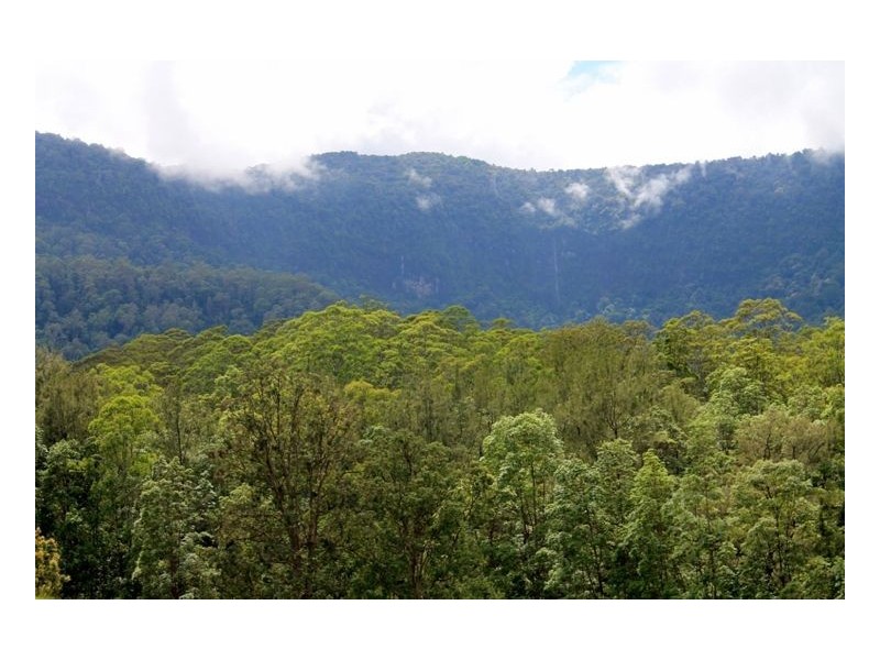 1076 Green Pigeon Road – Green Pigeon, Kyogle NSW 2474