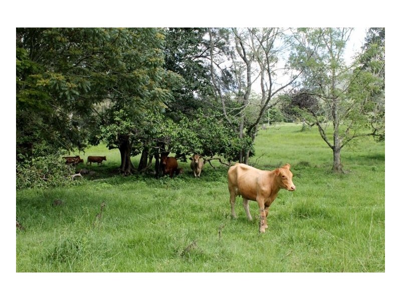 1076 Green Pigeon Road – Green Pigeon, Kyogle NSW 2474