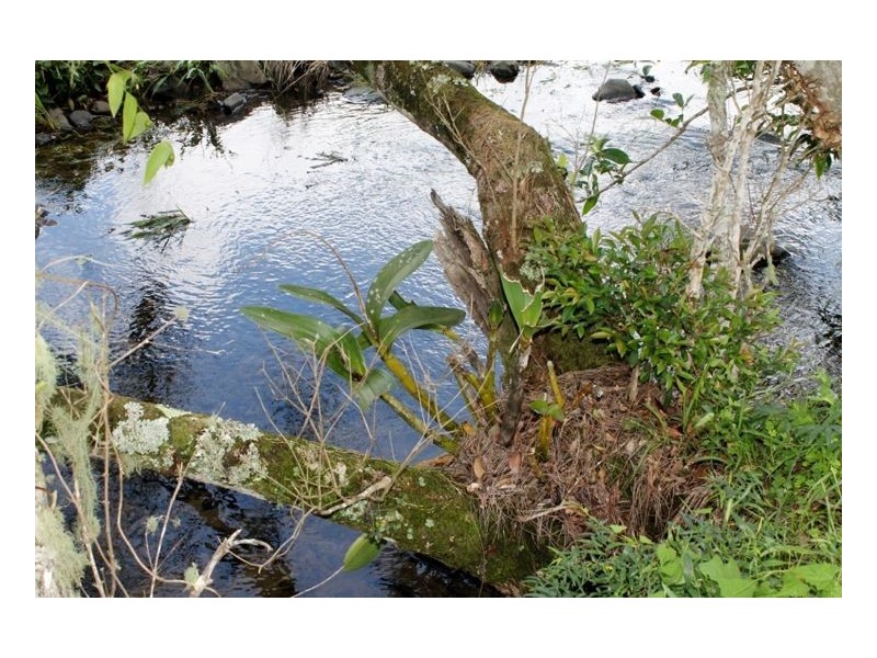 1076 Green Pigeon Road – Green Pigeon, Kyogle NSW 2474