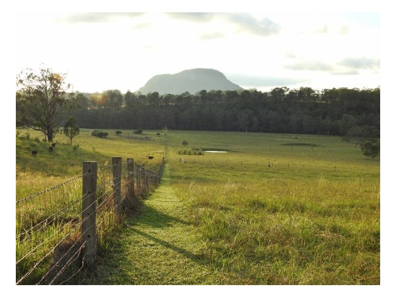 Lot 61 Beaury Creek Road, Urbenville NSW 2475