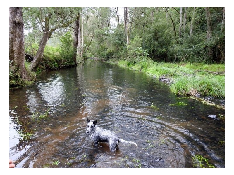 Lot 61 Beaury Creek Road, Urbenville NSW 2475