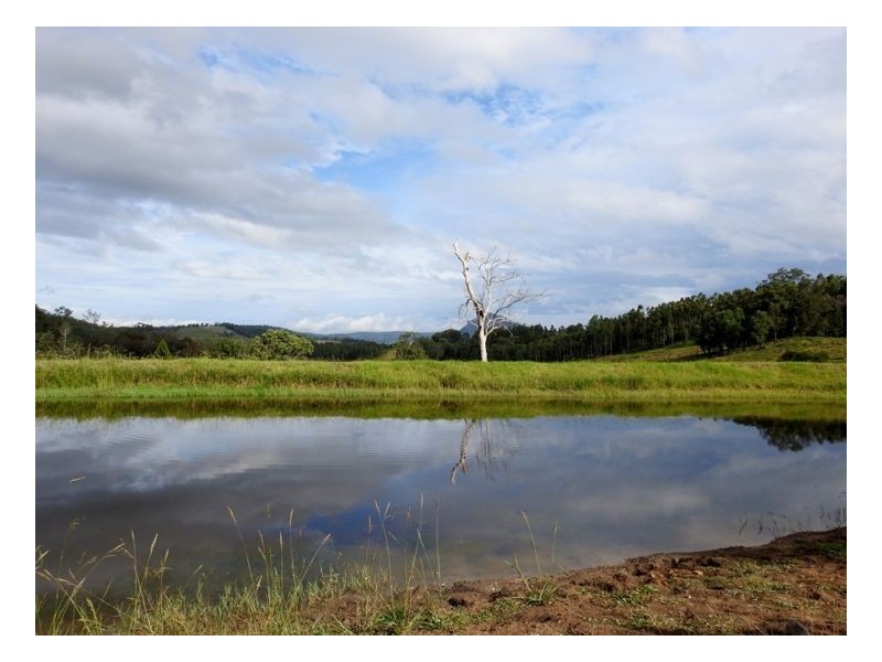 Lot 61 Beaury Creek Road, Urbenville NSW 2475