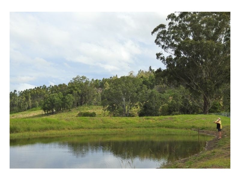 Lot 61 Beaury Creek Road, Urbenville NSW 2475