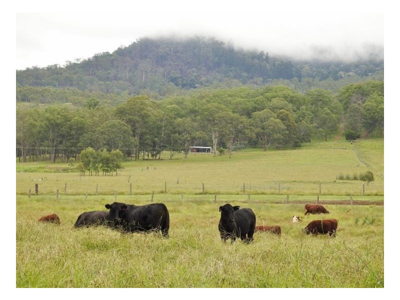 Lot 61 Beaury Creek Road, Urbenville NSW 2475