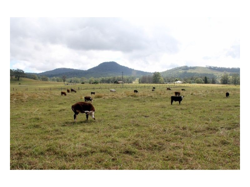 Lot 61 Beaury Creek Road, Urbenville NSW 2475