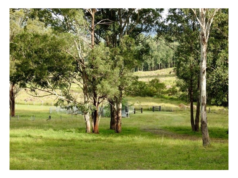 Lot 61 Beaury Creek Road, Urbenville NSW 2475