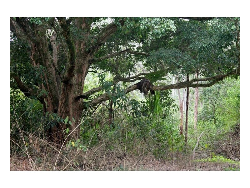 11 Sugar Glider Road – Upper Horseshoe Creek, Kyogle NSW 2474