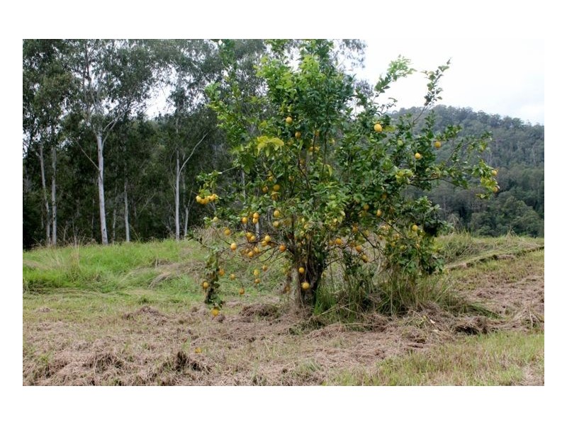 11 Sugar Glider Road – Upper Horseshoe Creek, Kyogle NSW 2474