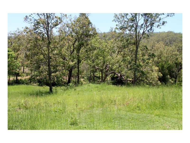 #319 Blackhorse Creek Road – Eden Creek, Kyogle NSW 2474