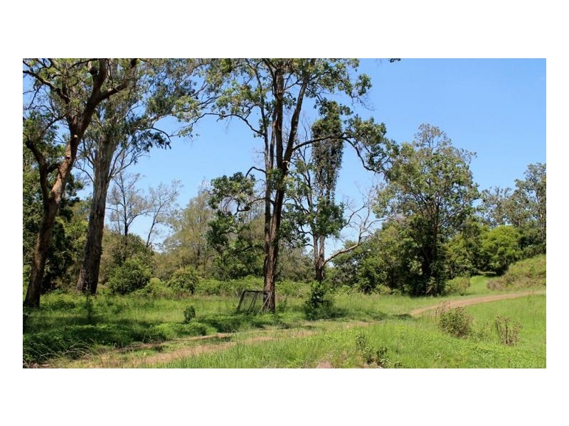 #319 Blackhorse Creek Road – Eden Creek, Kyogle NSW 2474