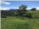 342 Oxbow Road, Cawongla NSW 2474