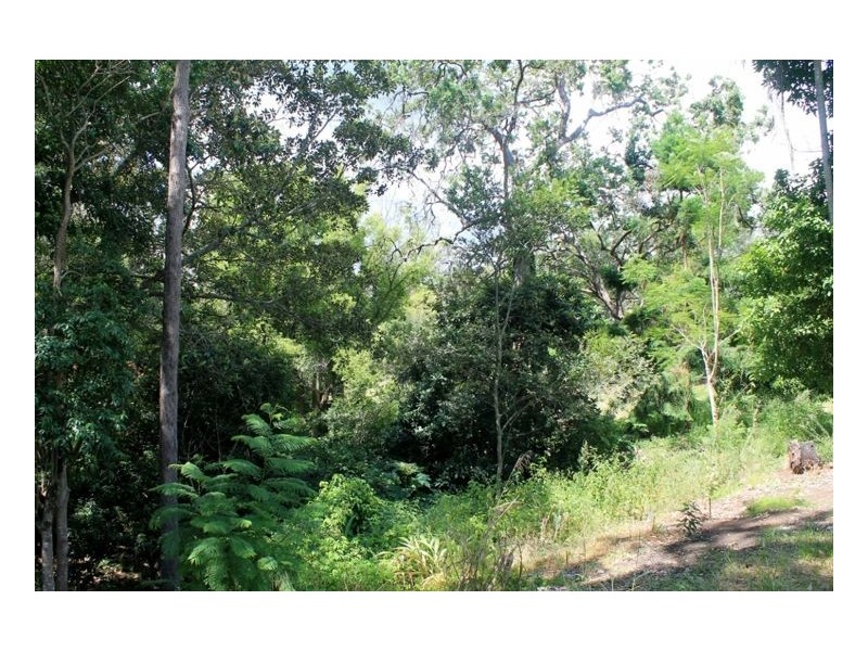 16 Campbell Road, Kyogle NSW 2474