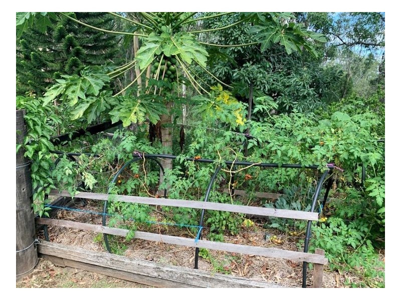 108 Doohans Road – Boorabee Park, Kyogle NSW 2474