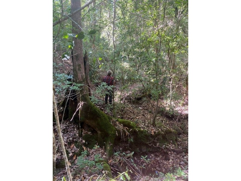 74 Stringybark Lane – Toonumbar, Kyogle NSW 2474