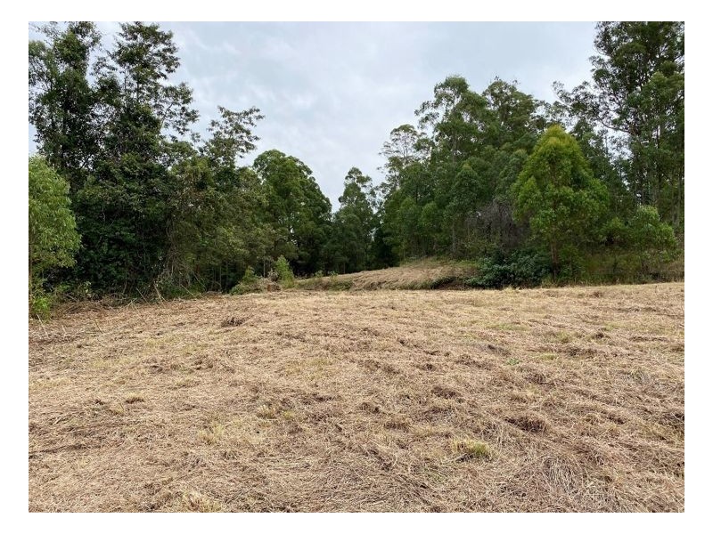 74 Stringybark Lane – Toonumbar, Kyogle NSW 2474