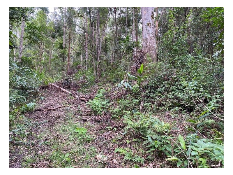 74 Stringybark Lane – Toonumbar, Kyogle NSW 2474