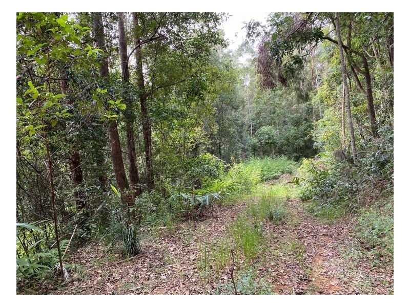 74 Stringybark Lane – Toonumbar, Kyogle NSW 2474