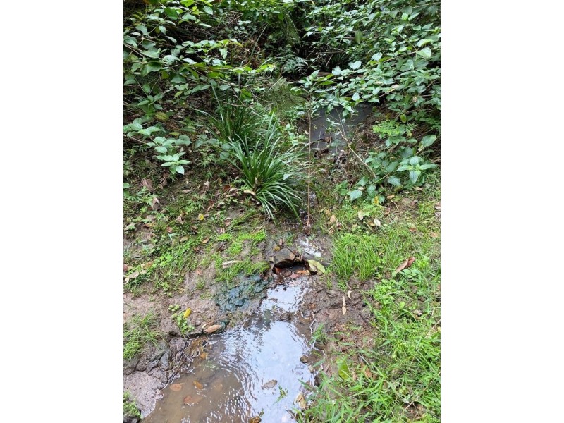 74 Stringybark Lane – Toonumbar, Kyogle NSW 2474