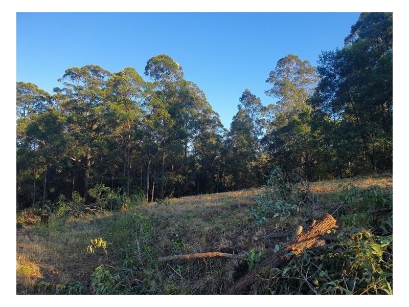 74 Stringybark Lane – Toonumbar, Kyogle NSW 2474