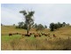 Lot 433 Iron Pot Creek Road, Iron Pot Creek, Kyogle NSW 2474