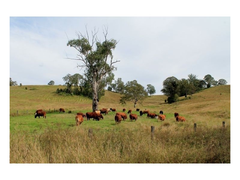 Lot 433 Iron Pot Creek Road, Iron Pot Creek, Kyogle NSW 2474