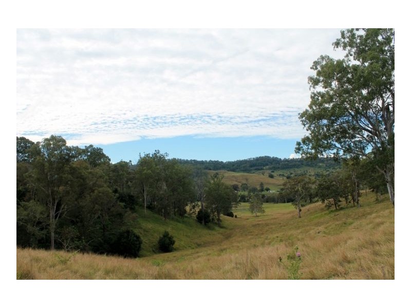 Lot 433 Iron Pot Creek Road, Iron Pot Creek, Kyogle NSW 2474