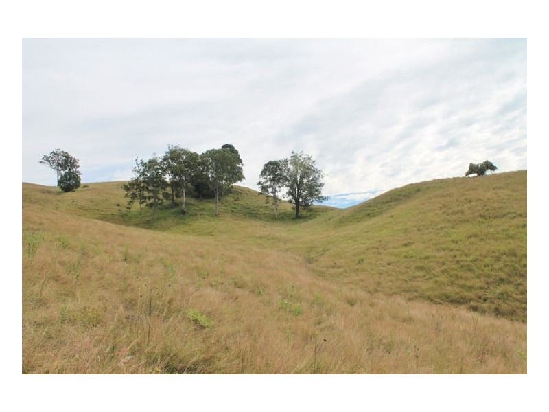 Lot 433 Iron Pot Creek Road, Iron Pot Creek, Kyogle NSW 2474