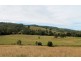 Lot 433 Iron Pot Creek Road, Iron Pot Creek, Kyogle NSW 2474