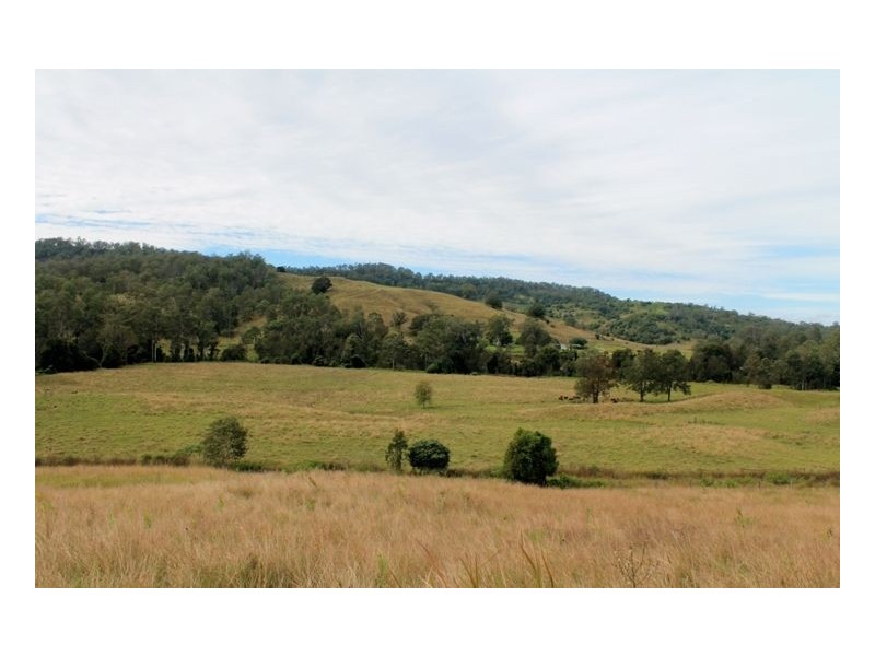 Lot 433 Iron Pot Creek Road, Iron Pot Creek, Kyogle NSW 2474