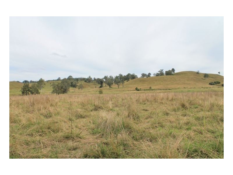 Lot 433 Iron Pot Creek Road, Iron Pot Creek, Kyogle NSW 2474