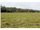 Lot 433 Iron Pot Creek Road, Iron Pot Creek, Kyogle NSW 2474