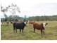Lot 433 Iron Pot Creek Road, Iron Pot Creek, Kyogle NSW 2474