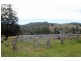 Lot 433 Iron Pot Creek Road, Iron Pot Creek, Kyogle NSW 2474