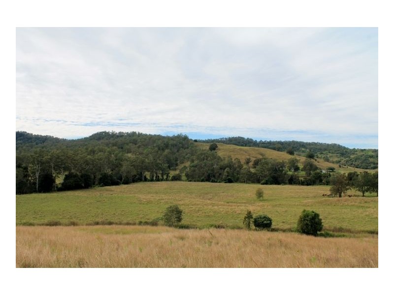 Lot 433 Iron Pot Creek Road, Iron Pot Creek, Kyogle NSW 2474