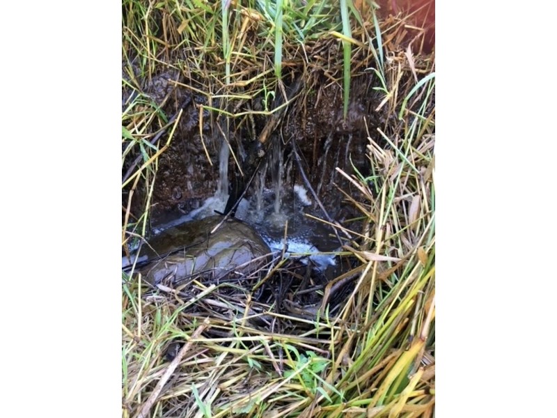 34/265 Martin Road – Larnook, Nimbin NSW 2480