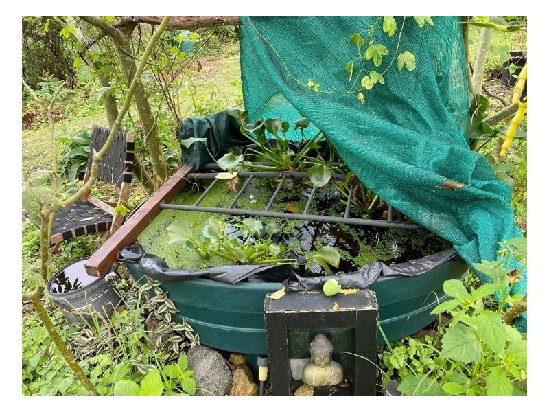 34/265 Martin Road – Larnook, Nimbin NSW 2480