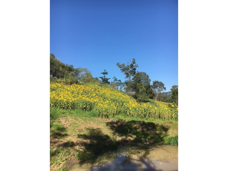 34/265 Martin Road – Larnook, Nimbin NSW 2480