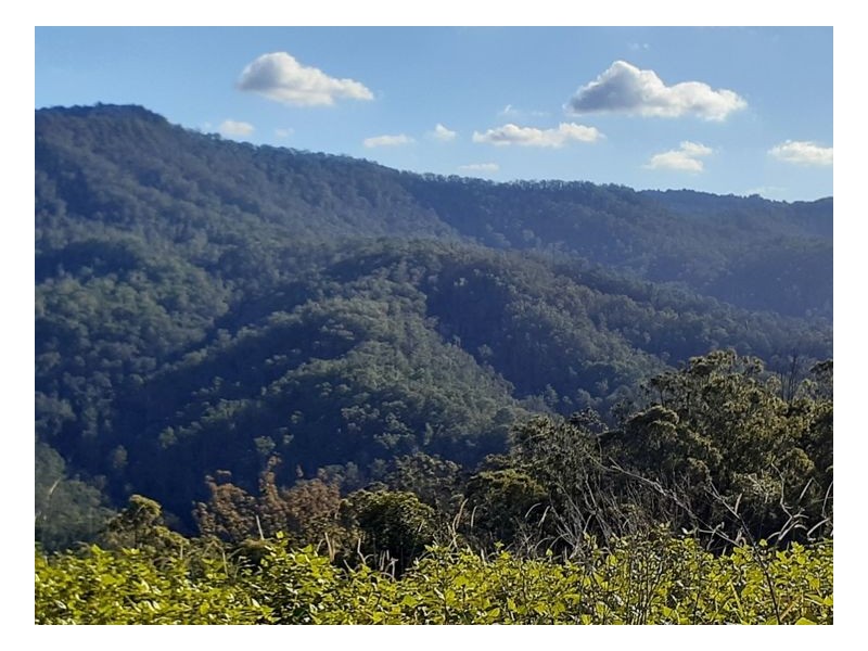 Kyogle NSW 2474