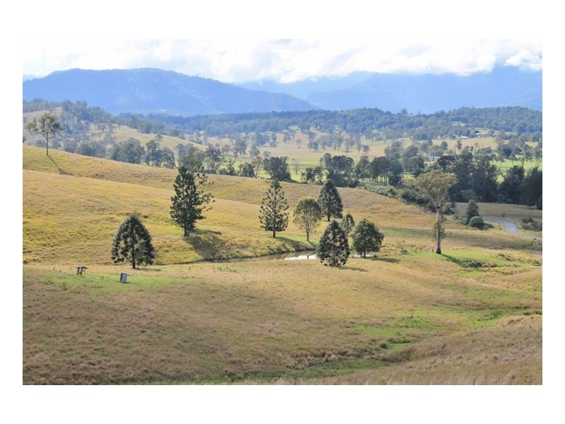 LOT 31 Collins Creek Road – Collins Creek, Kyogle NSW 2474